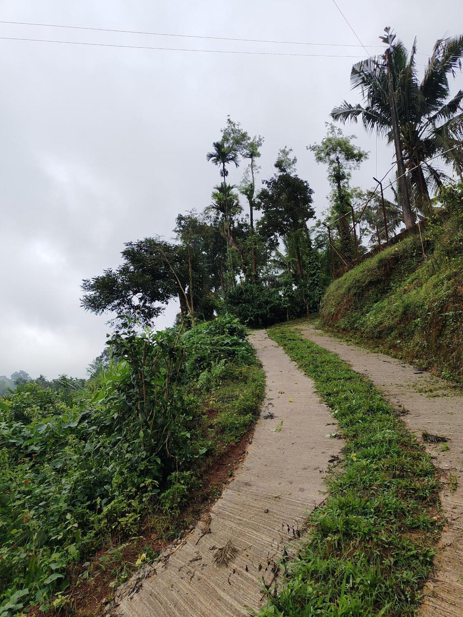 Shivalaya Homestay, Madikeri Siddāpur Eksteriør billede