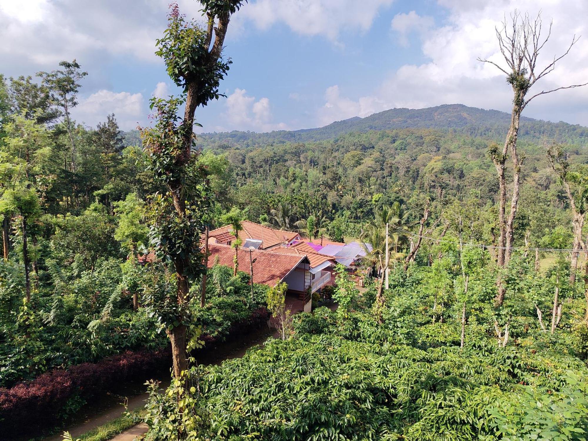 Shivalaya Homestay, Madikeri Siddāpur Eksteriør billede