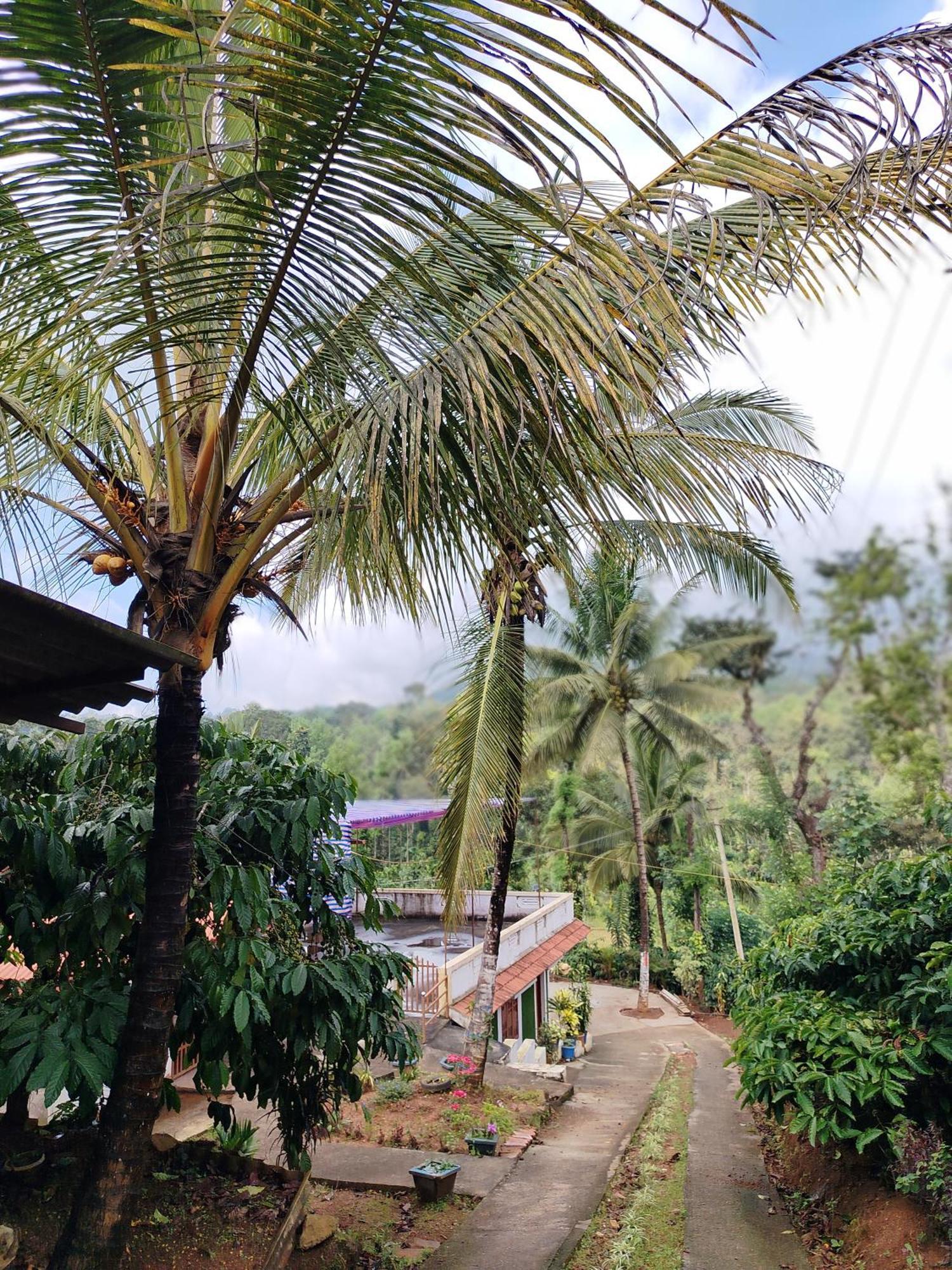 Shivalaya Homestay, Madikeri Siddāpur Eksteriør billede